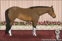 Horse Color:Gray Buckskin Tobiano 