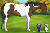 Horse Color:Bay Tobiano 