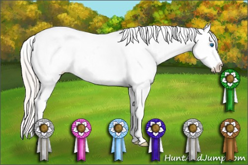 Horse Color: White Spotted Silver Classic Champagne Dun Splash Blanket 