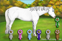 Horse Color:White Spotted Silver Classic Champagne Dun Splash Appaloosa 