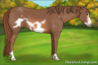 Horse Color:Liver Chestnut Frame 