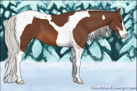 Horse Color:Silver Brown Sabino Tobiano