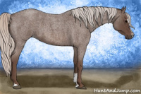 Horse Color:Silver Blue Roan Sabino