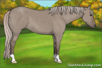 Horse Color:Silver Brown Dun