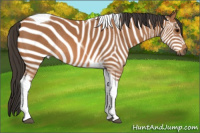 Horse Color:Bay Tobiano Rabicano