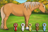 Horse Color:Chocolate Palomino 