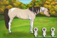 Horse Color:Buckskin Roan Dun Tobiano