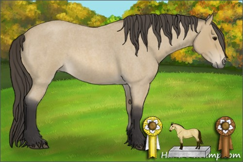 Horse Color: Buckskin Roan 