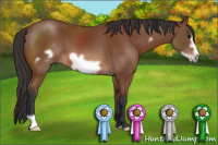 Horse Color:Bay Frame