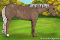 Horse Color:Silver Black 