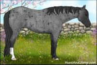 Horse Color:Blue Roan 