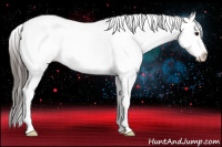 Horse Color:White Spotted Bay Splash
