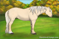 Horse Color:Palomino Roan Dun