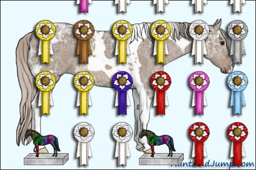 Horse Color: Unknown 