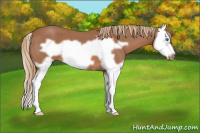 Horse Color:Liver Red Roan Splash Frame 