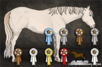 Horse Color:Perlino 