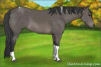 Horse Color:Black Sabino Tobiano