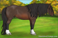 Horse Color:Brown 