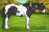 Horse Color:Smoky Black Tobiano Frame 