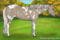 Horse Color:White Spotted Silver Smoky Grullo Tobiano
