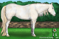 Horse Color:White Spotted Buckskin Pearl Dun Sabino 