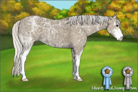 Horse Color:Silver Smoky Black Ice Sabino 