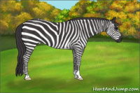 Horse Color:Smoky Black 