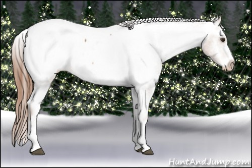Horse Color: Red Roan Splash Frame Snowcap 