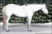 Horse Color:Red Roan Splash Frame Snowcap 