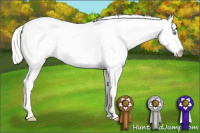 Horse Color:Silver Buckskin Pearl Sabino Appaloosa 