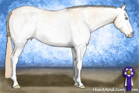 Horse Color:White Spotted Perlino Dun 