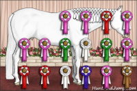 Horse Color:White Spotted Silver Smoky Creme Appaloosa 