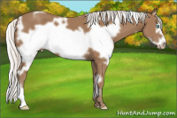 Horse Color:Gray White Spotted Silver Smoky Creme Frame 