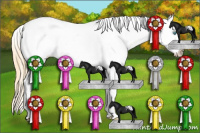 Horse Color:White Spotted Buckskin Pearl Dun Tobiano Near Leopard 