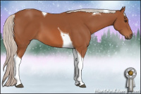 Horse Color:Silver Bay Tobiano 