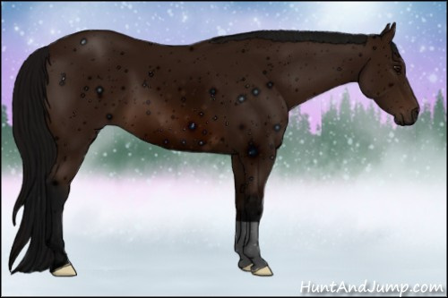 Horse Color: ERROR: UNKNOWN ANOMALY