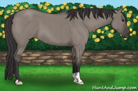 Horse Color:Smoky Grullo Roan 