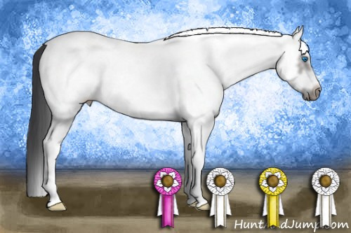 Horse Color: White Spotted Grullo Frame 
