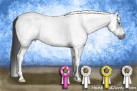 Horse Color:White Spotted Grullo Frame