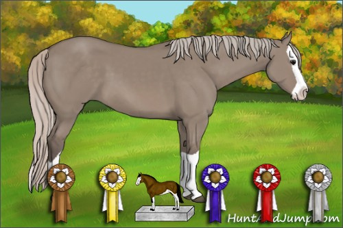 Horse Color: Silver Grullo Splash 