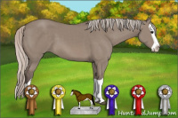 Horse Color:Silver Grullo Splash