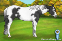 Horse Color:Brown Splash Tobiano Frame 