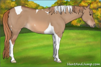 Horse Color:Red Dun Tobiano 
