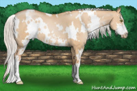 Horse Color:White Spotted Silver Bay Pearl Dun Sabino