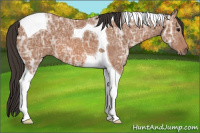 Horse Color:Bay Ice Tobiano