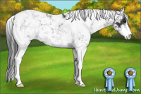 Horse Color:Black Sabino 
