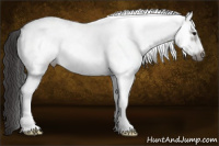Horse Color:White Spotted Smoky Grullo Frame 
