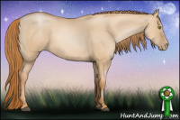 Horse Color:Red Dun Pearl 