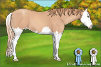 Horse Color:Gold Champagne Sabino Splash 