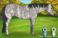 Horse Color:Black Ice Sabino